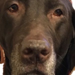 Meet your Posher, Colin